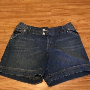 Lane Bryant Denim Shorts